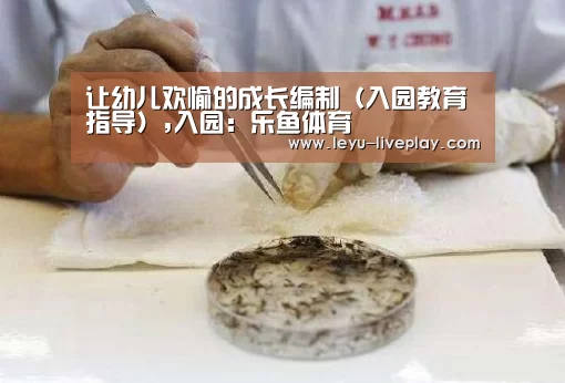 让幼儿欢愉的成长编制(入园教育指导),入园:乐鱼体育(图4) 乐鱼体育赛事直播