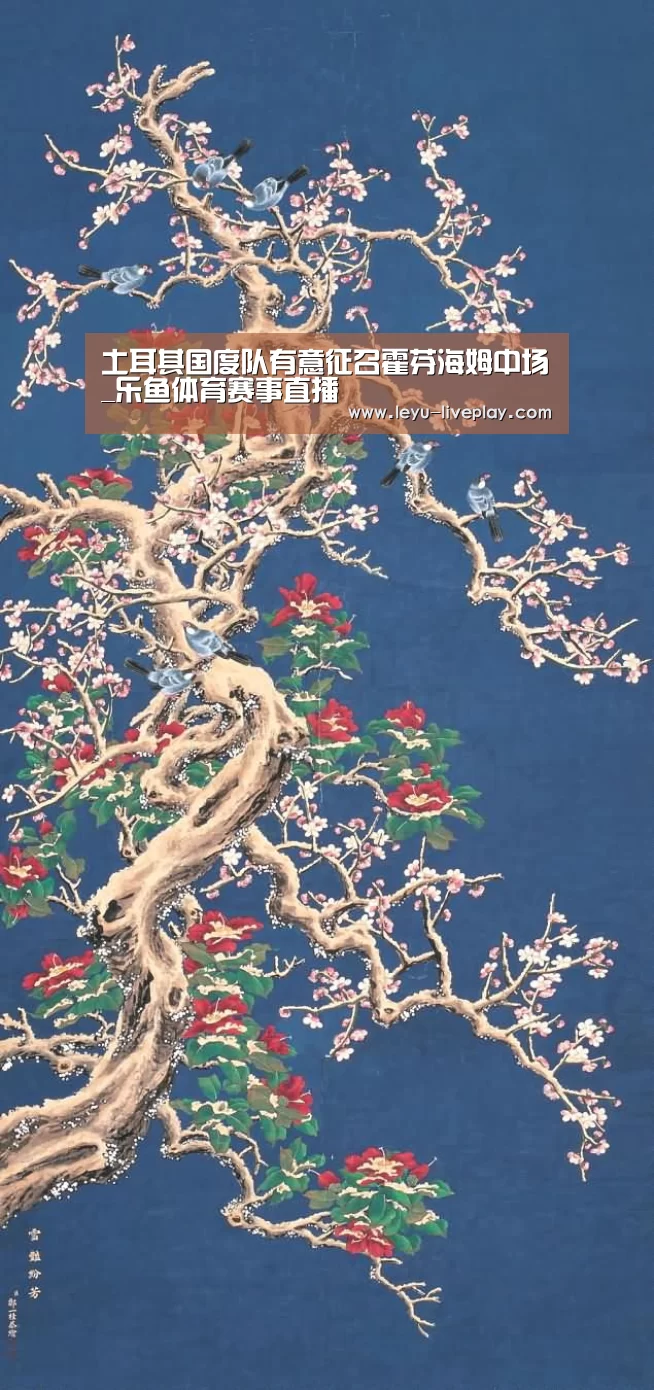 乐鱼体育赛事直播