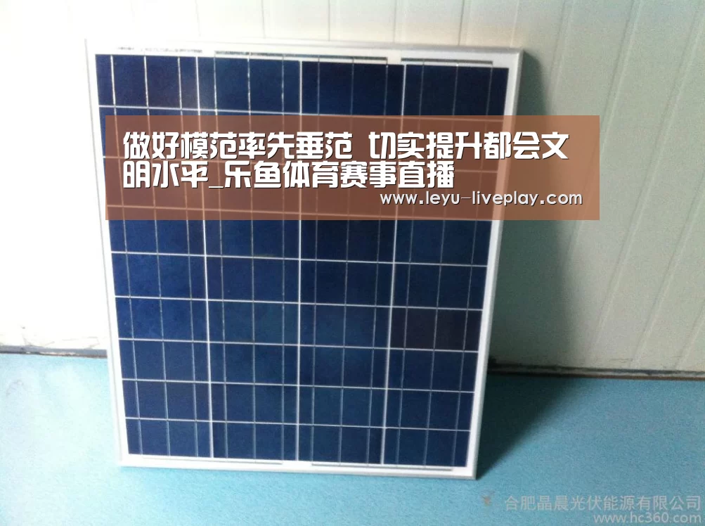 做好模范率先垂范 切实提升都会文明水平_乐鱼体育赛事直播(图4) 乐鱼体育赛事直播