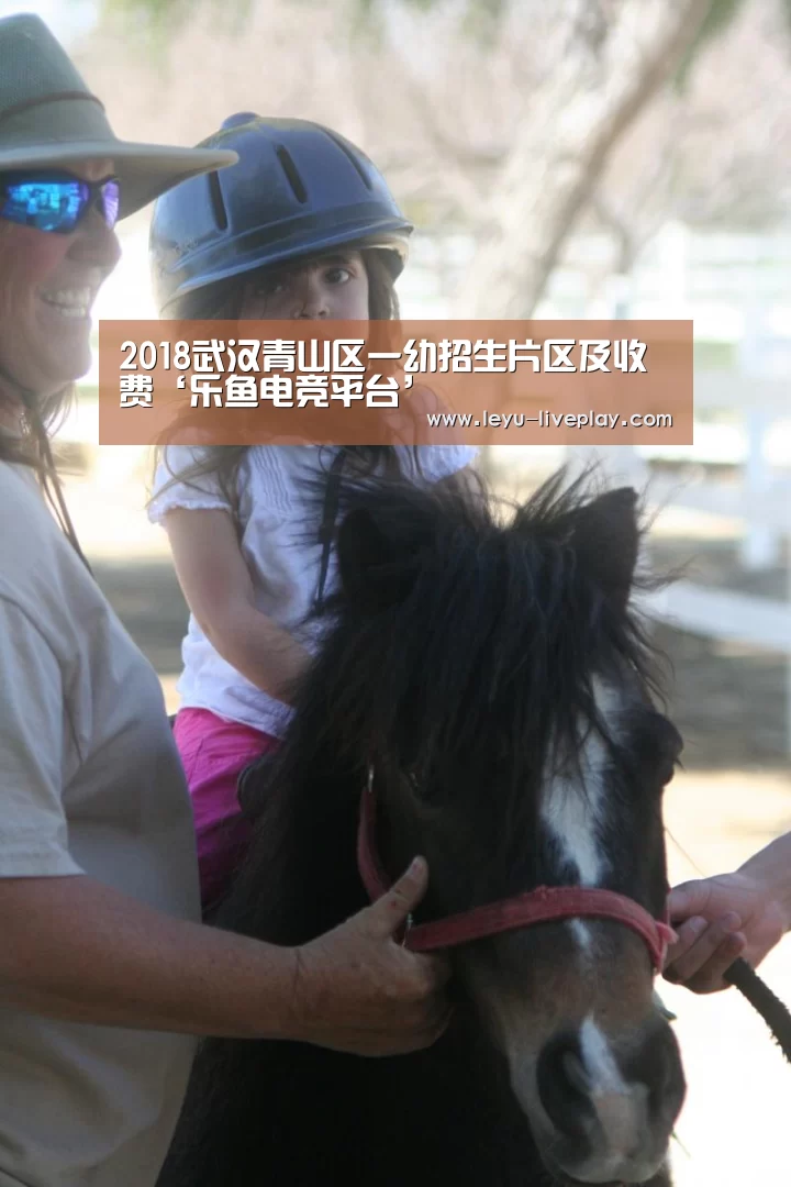 乐鱼电竞赛事